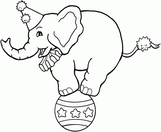 540x441 Circus Elephant Coloring Book Cute Circus Elephant