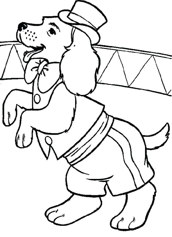 600x824 Free Circus Coloring Pages Circus Lion Coloring Pages The Lion