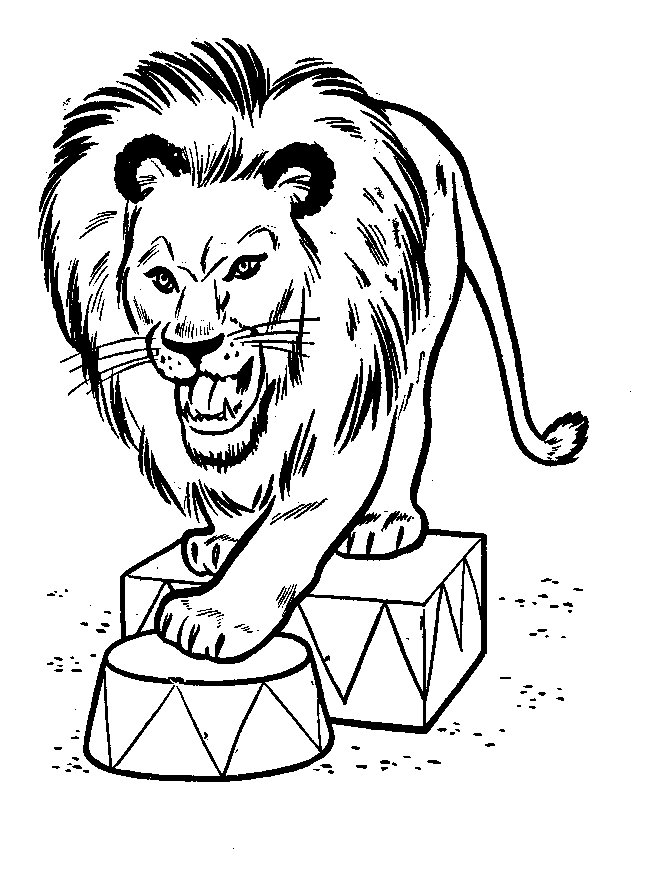 652x871 Printable Lion Coloring Pages In Circus Free Coloring Book Picture