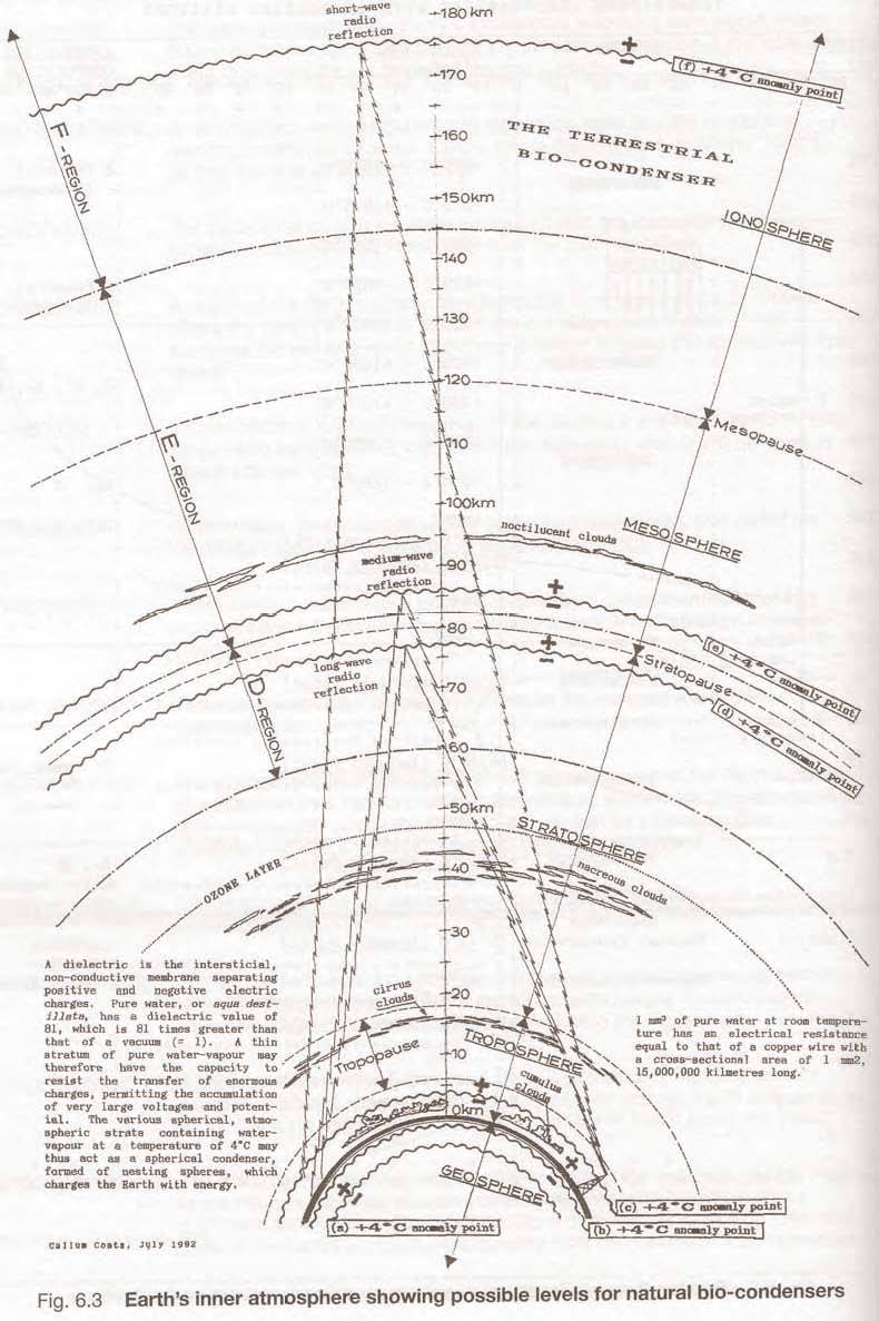 790x1187 Living Energies Img 59.jpg
