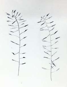 236x308 City Lit Student's Drawing Exploring Line Using Ink And Stick