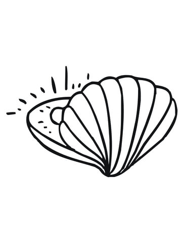 360x480 Clam With Pearl Coloring Page Free Printable Coloring Pages