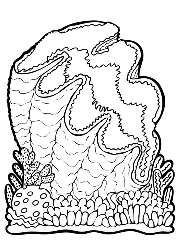 360x480 Giant Clam Coloring Page Free Printable Coloring Pages