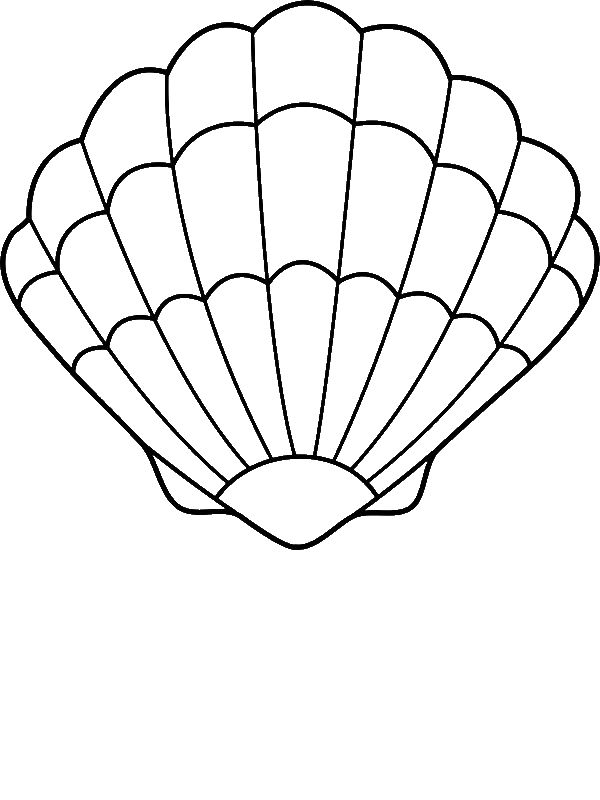 600x800 A Lovely Zigzag Scallop Seashell Drawing Coloring Page By Years