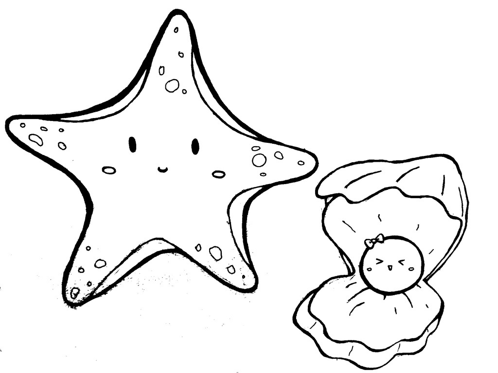 1024x768 Clam Drawing Animals