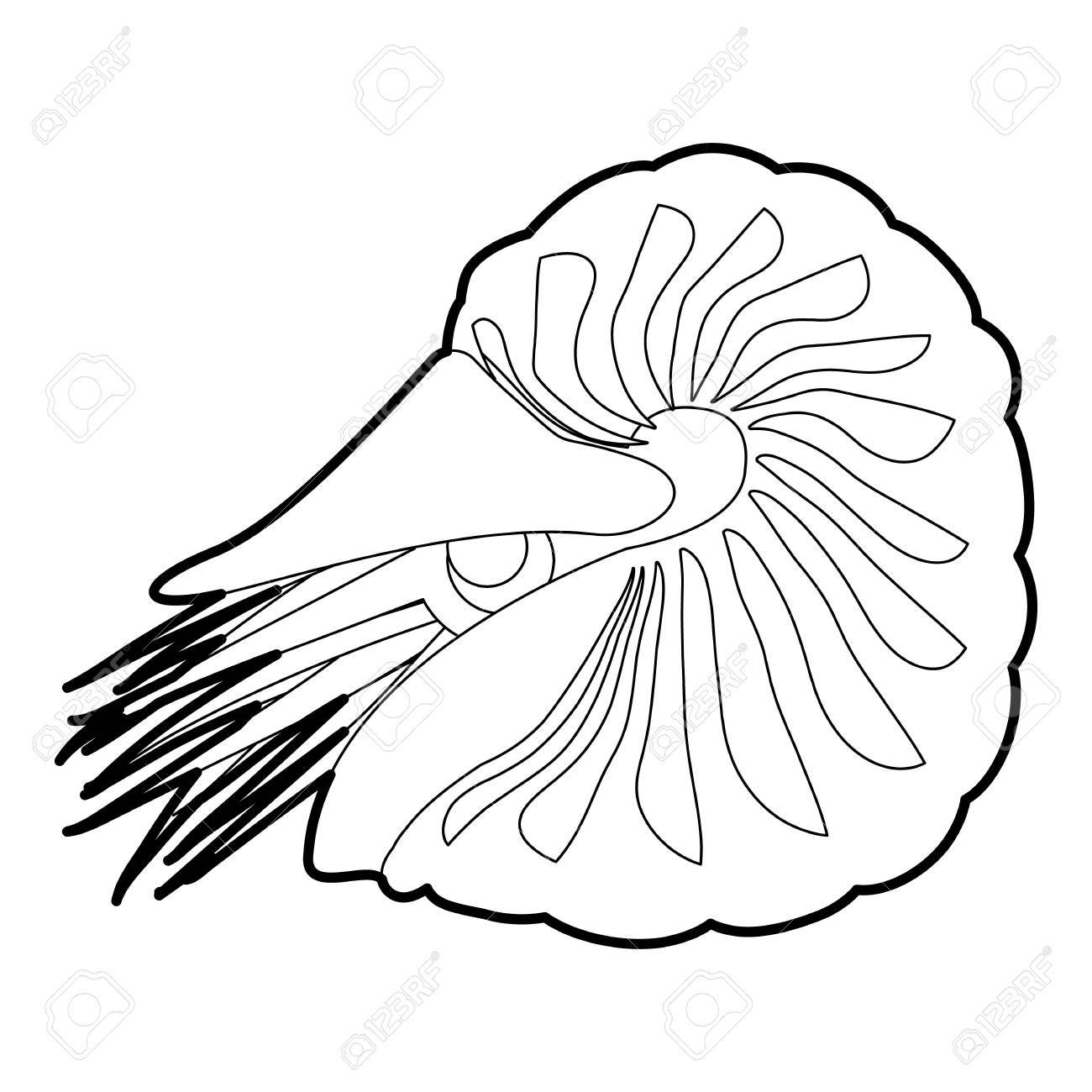 1300x1300 Clam Icon Outline Royalty Free Cliparts, Vectors, And Stock