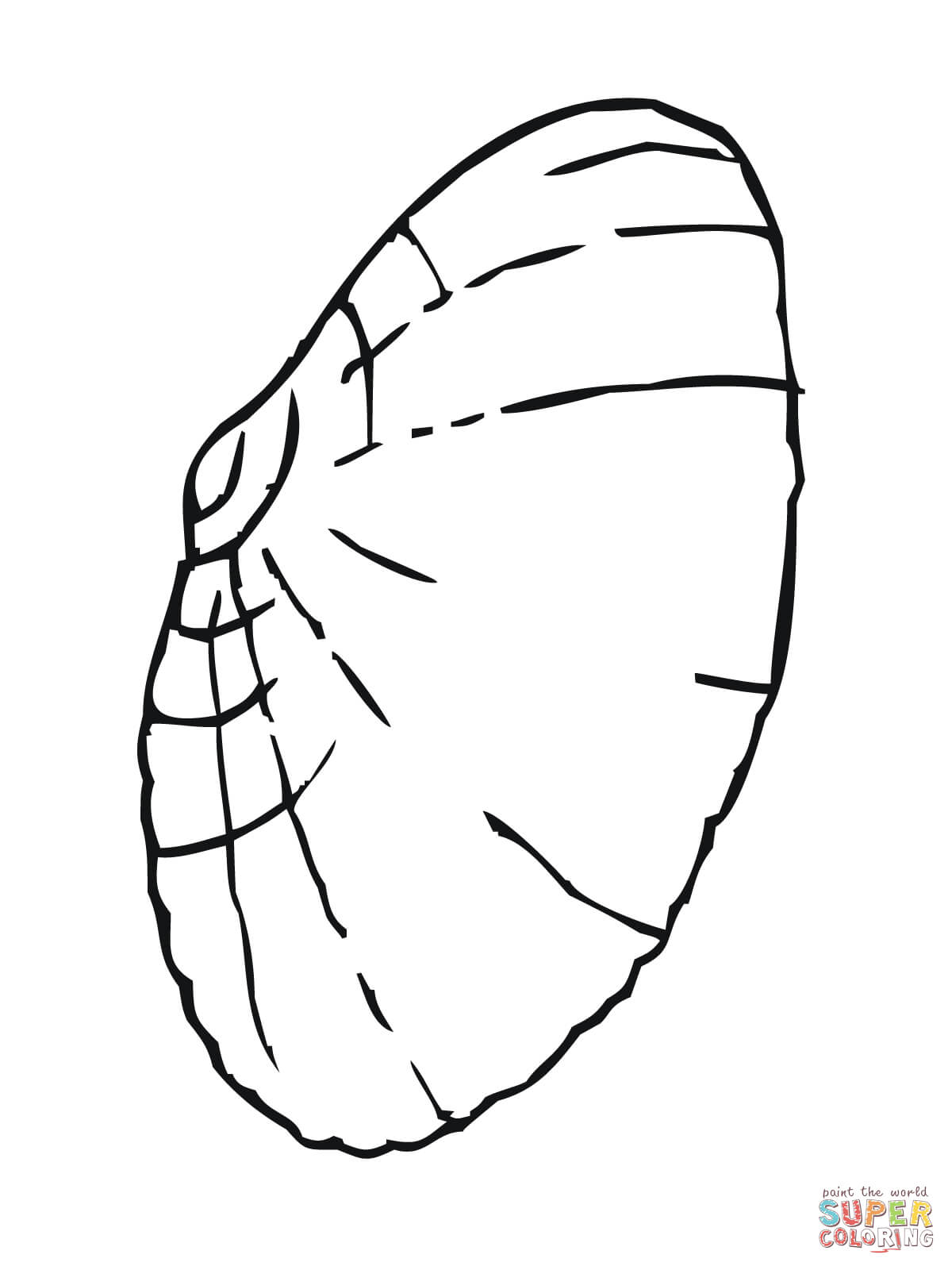 1200x1600 Clam Shell Coloring Page Free Printable Coloring Pages