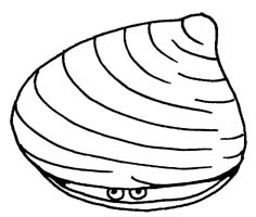 236x200 Clams Clipart