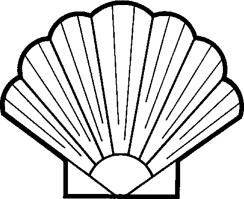 485x396 Clams Clipart Seashell