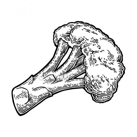 450x450 Man Clapping Hands, Applause Sign. Stock Vector Denispotysiev