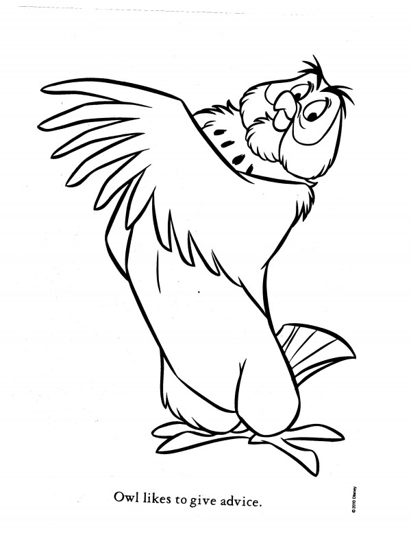 600x777 Owl Coloring Pages