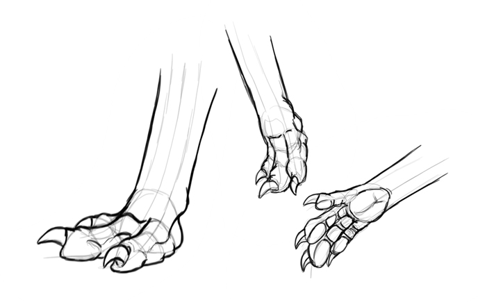 688x435 How To Draw Dragons Step By Step With Monika Zagrobelna