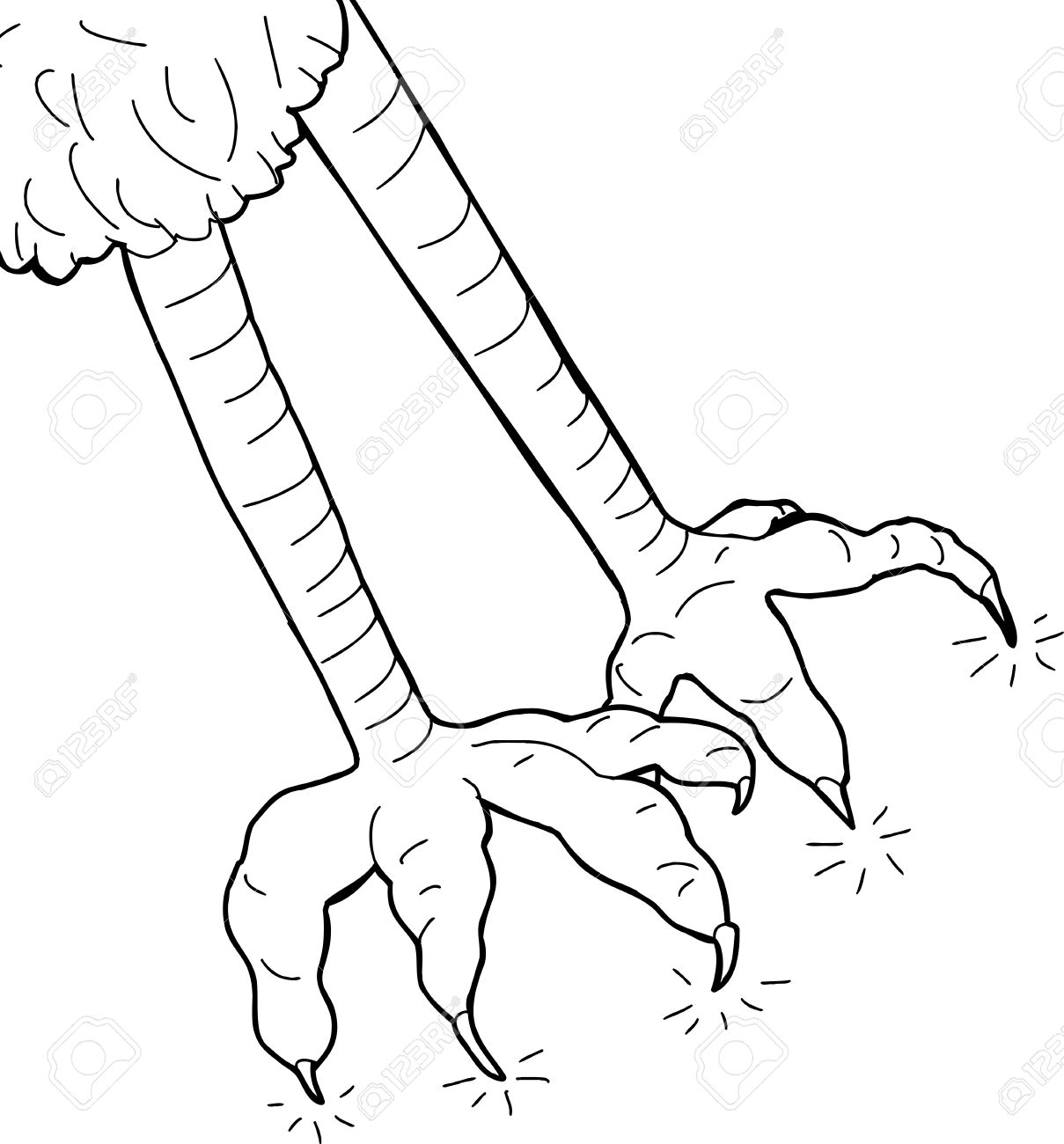 1209x1300 Hand Drawn Cartoon Outline Of Eagle Claws Royalty Free Cliparts