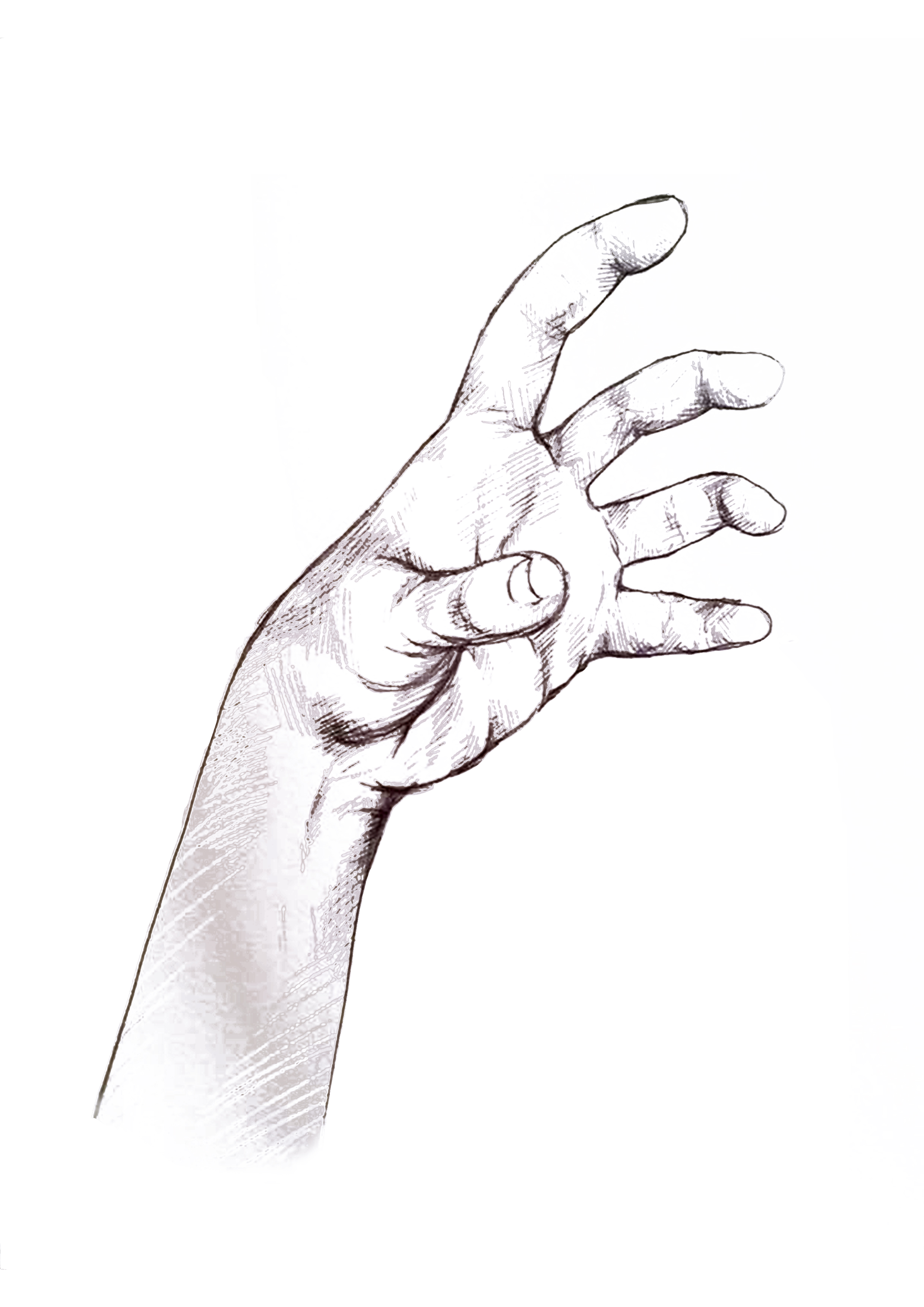 2480x3508 Hand Drawings Katie Wonderland