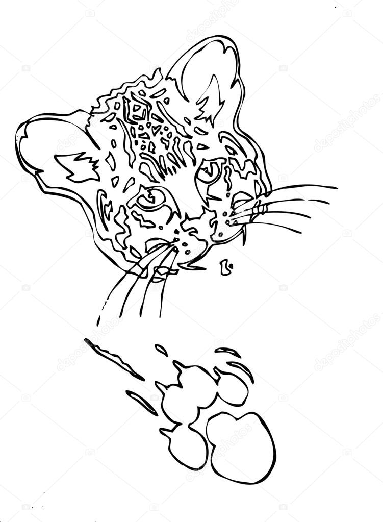 751x1023 Leopard Face With Paw And Claw Mark Outline Stock Vector