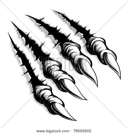 450x470 Talon Images, Illustrations, Vectors