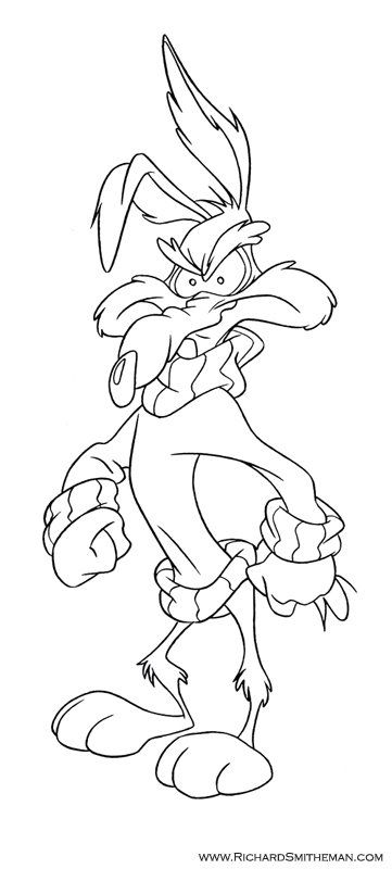 361x800 Pin By Francisco Leiva On Clean Up