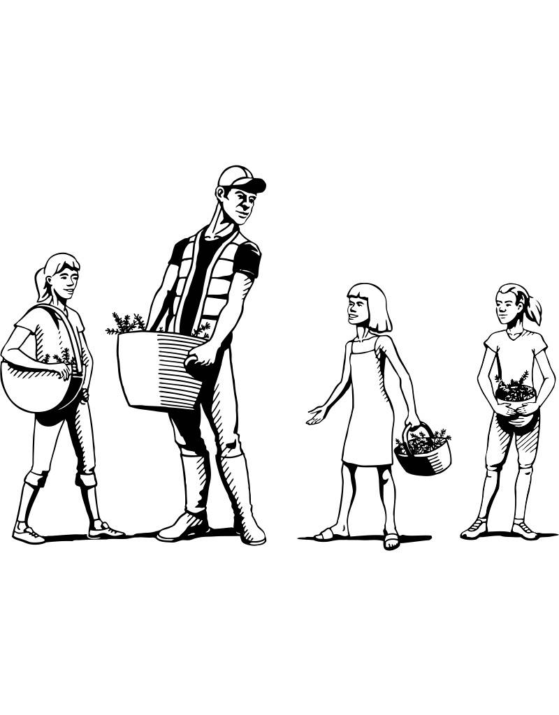 800x1024 Durable All Purpose Cleaner Lavender Amp Cloves Biodegradable