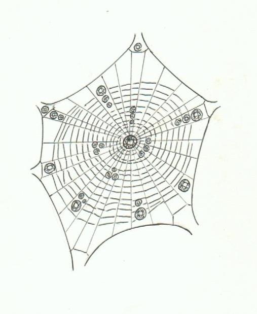 507x619 109 Best Sketches By Robert Cliff Images On Cliff