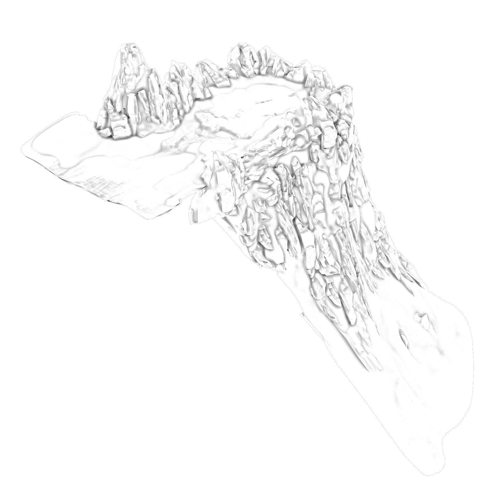 1604x1604 3d Model White Camel Mountain