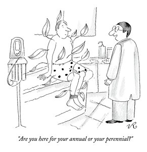 291x300 Doc Drawings Fine Art America