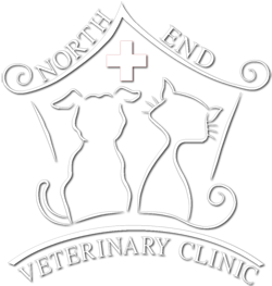250x263 North End Veterinary Clinic
