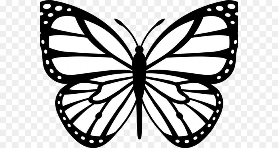900x480 Monarch Butterfly Black And White Drawing Clip Art