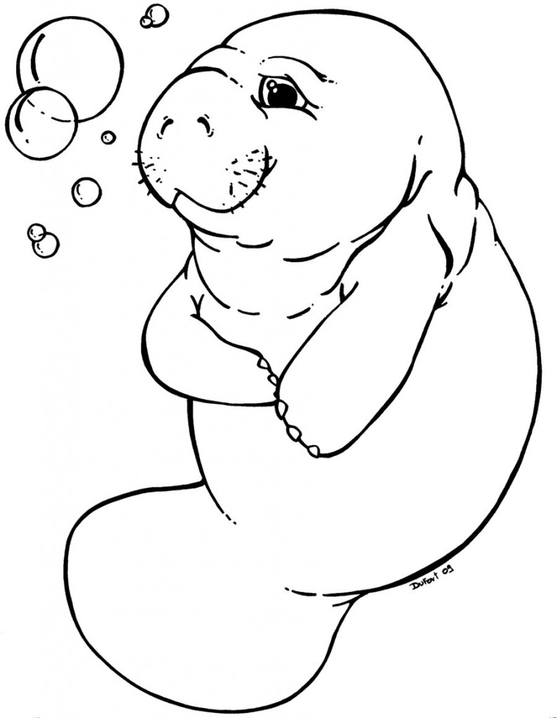 794x1024 Manatee Clip Art