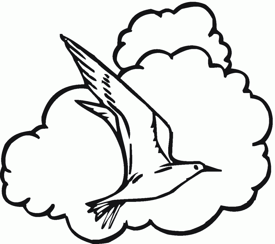 940x834 Sea Gull Seagull Clip Art Free Vector In Open Office Drawing Svg