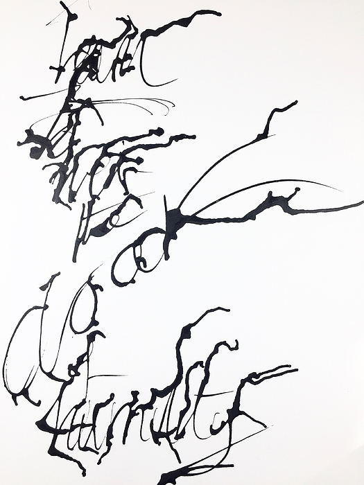 525x700 Cloak Of Humility Drawing By Donald Mcghie