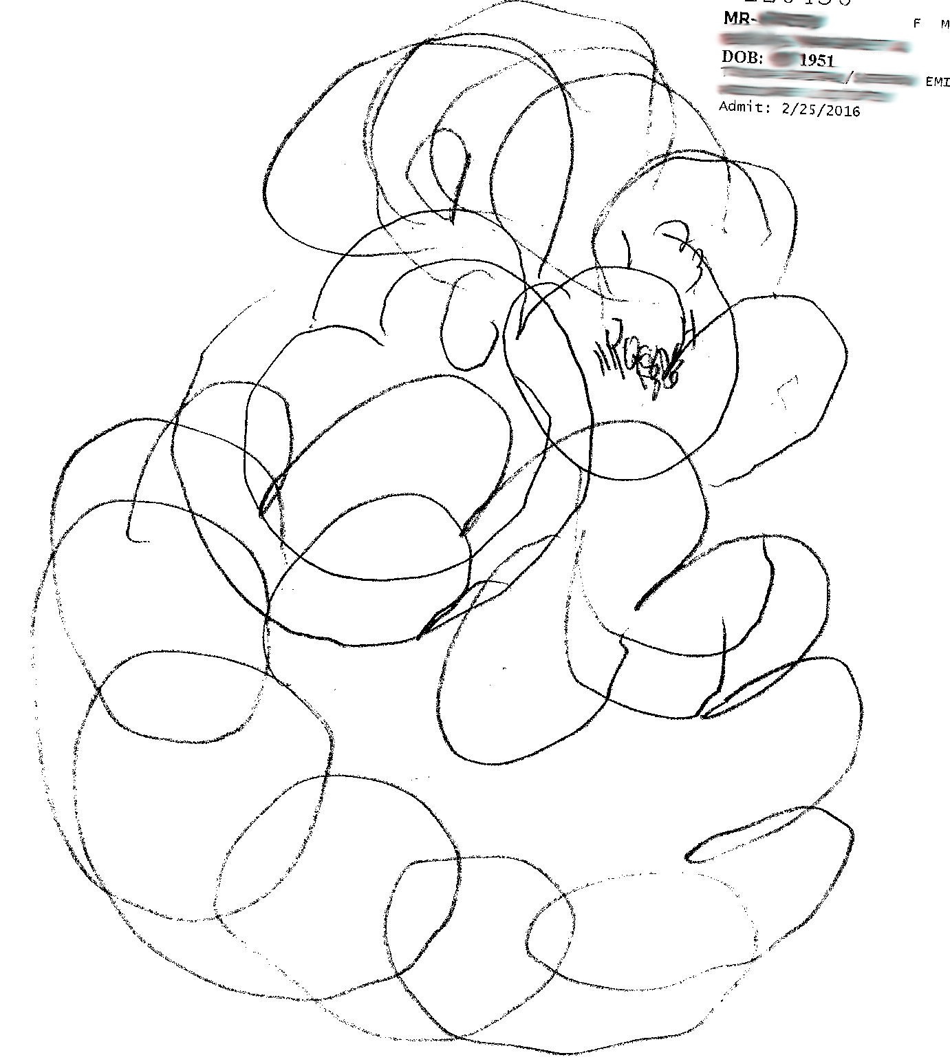 1381x1546 Clock Drawing Concussion Assessment And Management Program