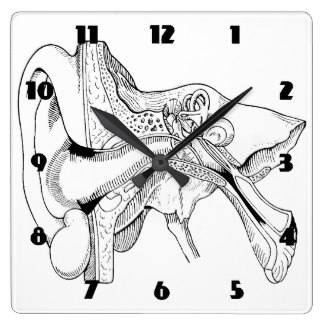 324x324 Vintage Anatomy Drawings Wall Clocks Zazzle