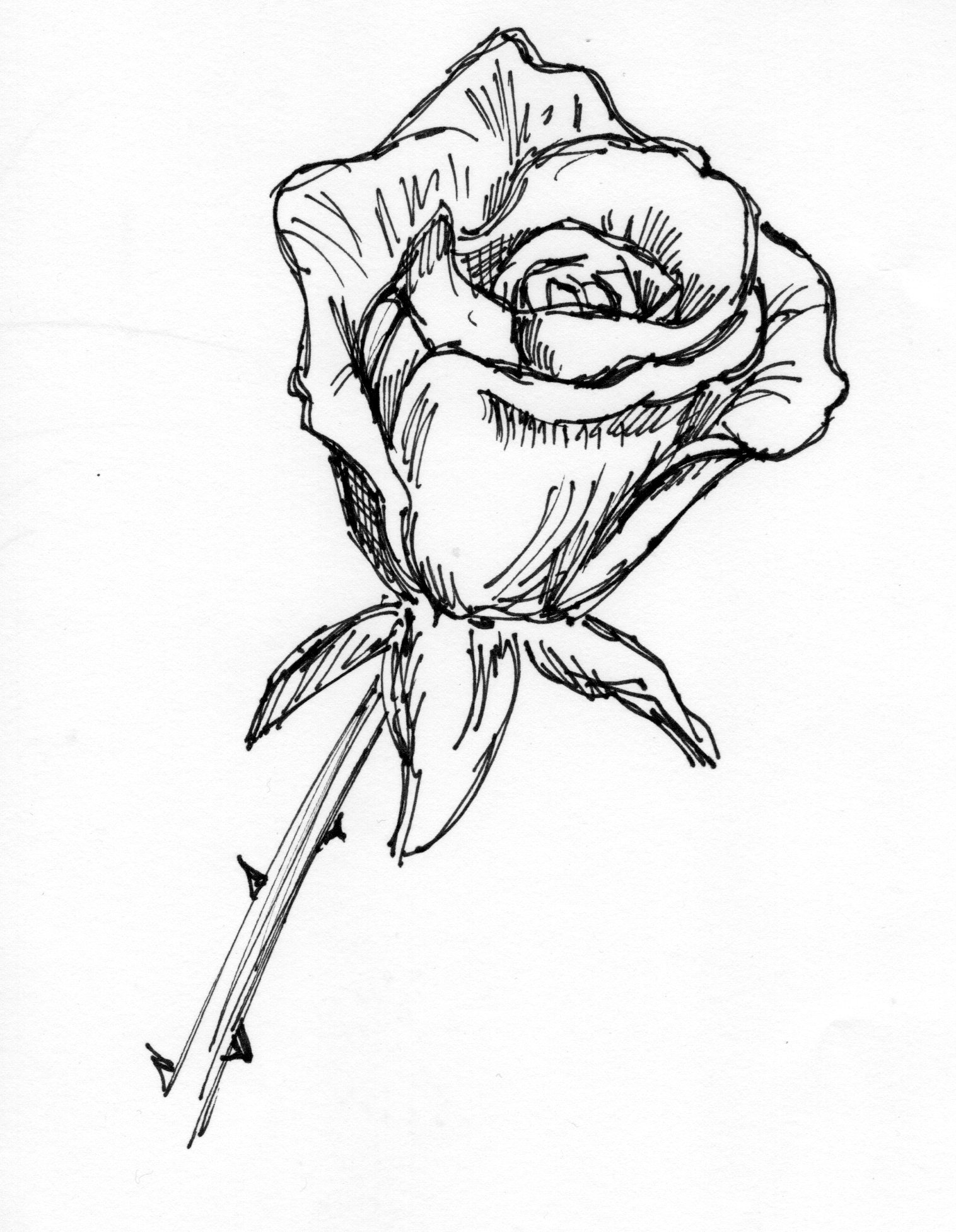 1516x1954 Daily Drawing Prompt For 10 18 15