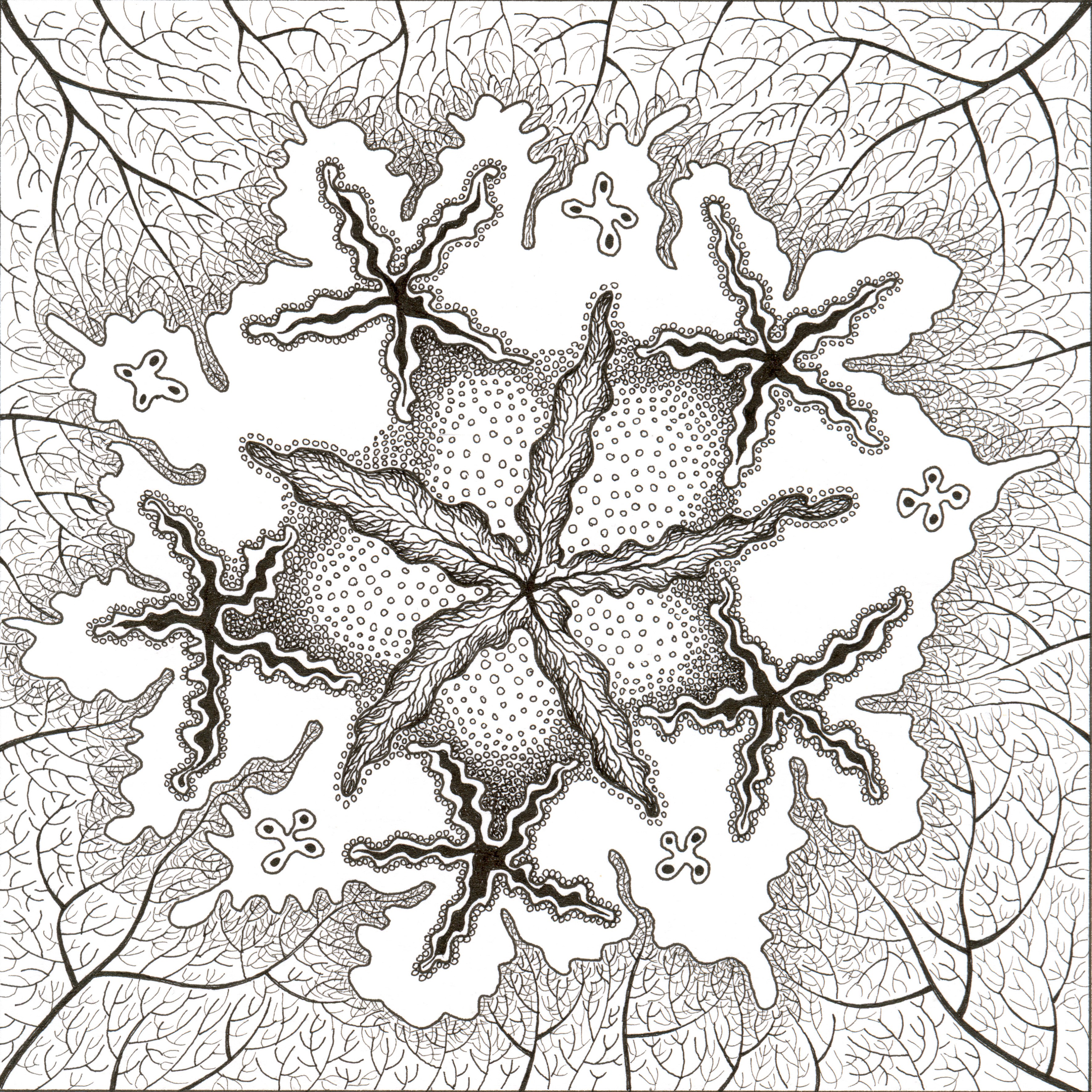 3543x3543 My Souldoodles From The Closet