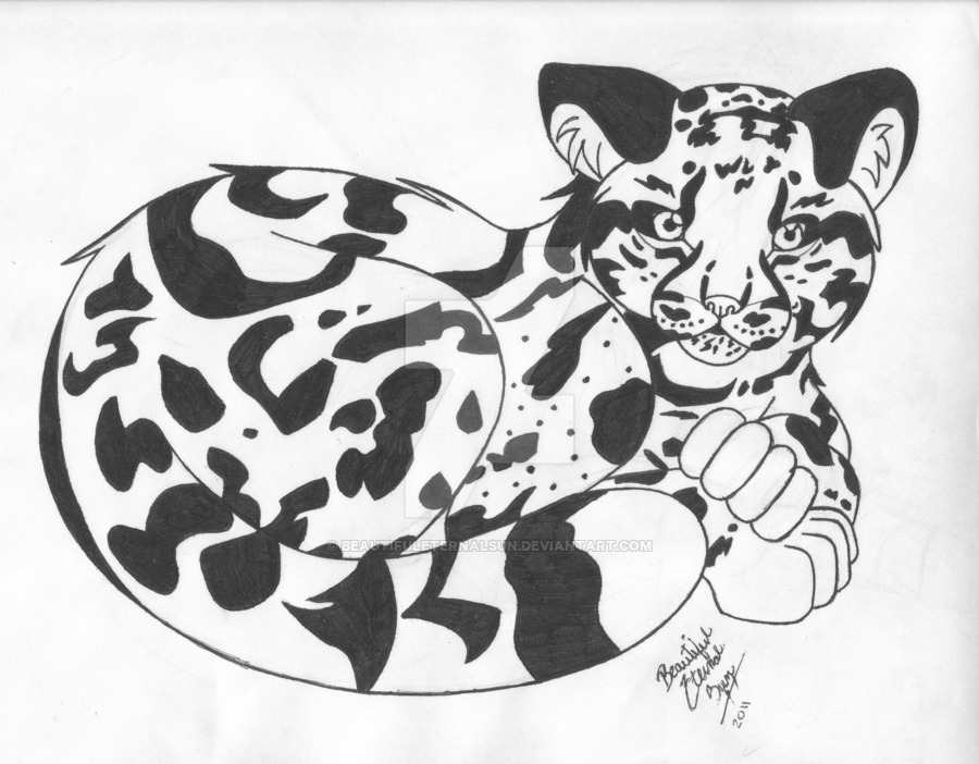 900x702 Clouded Leopard By Beautifuleternalsun