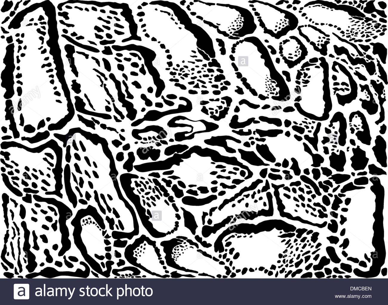 1300x1021 Clouded Leopard Pattern Background Stock Vector Art Amp Illustration