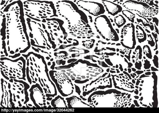 512x366 Clouded Leopard Pattern Background Vector