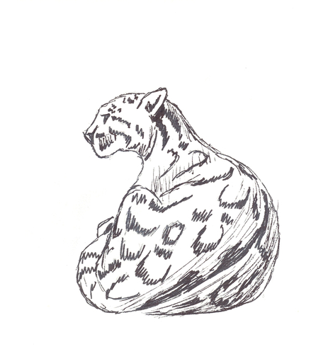 439x500 Contemporary Drawing