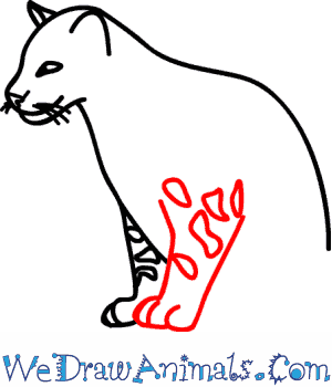 300x350 How To Draw A Clouded Leopard