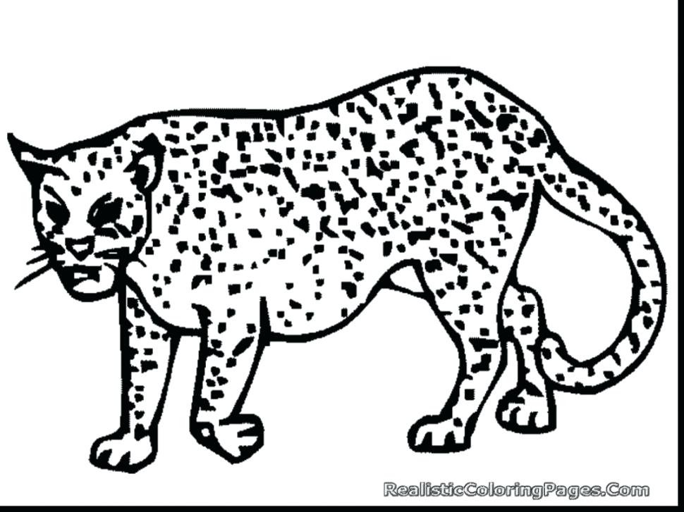 970x727 Leopard Clipart Medium Size Of Cheetah Book Cartoon How To Draw