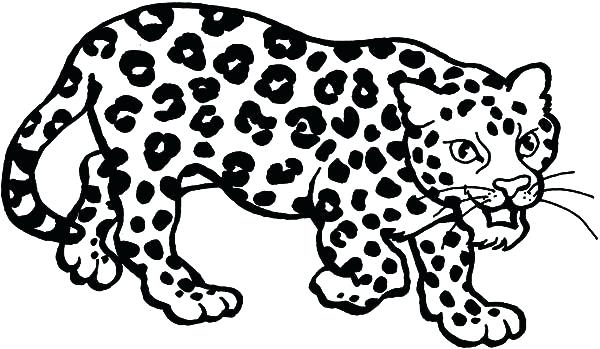 600x349 Leopard Coloring Pages Leopard Sneaking Coloring Pages Baby Snow