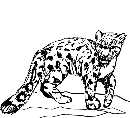 500x456 Sketch Of Telos Ciara Darren