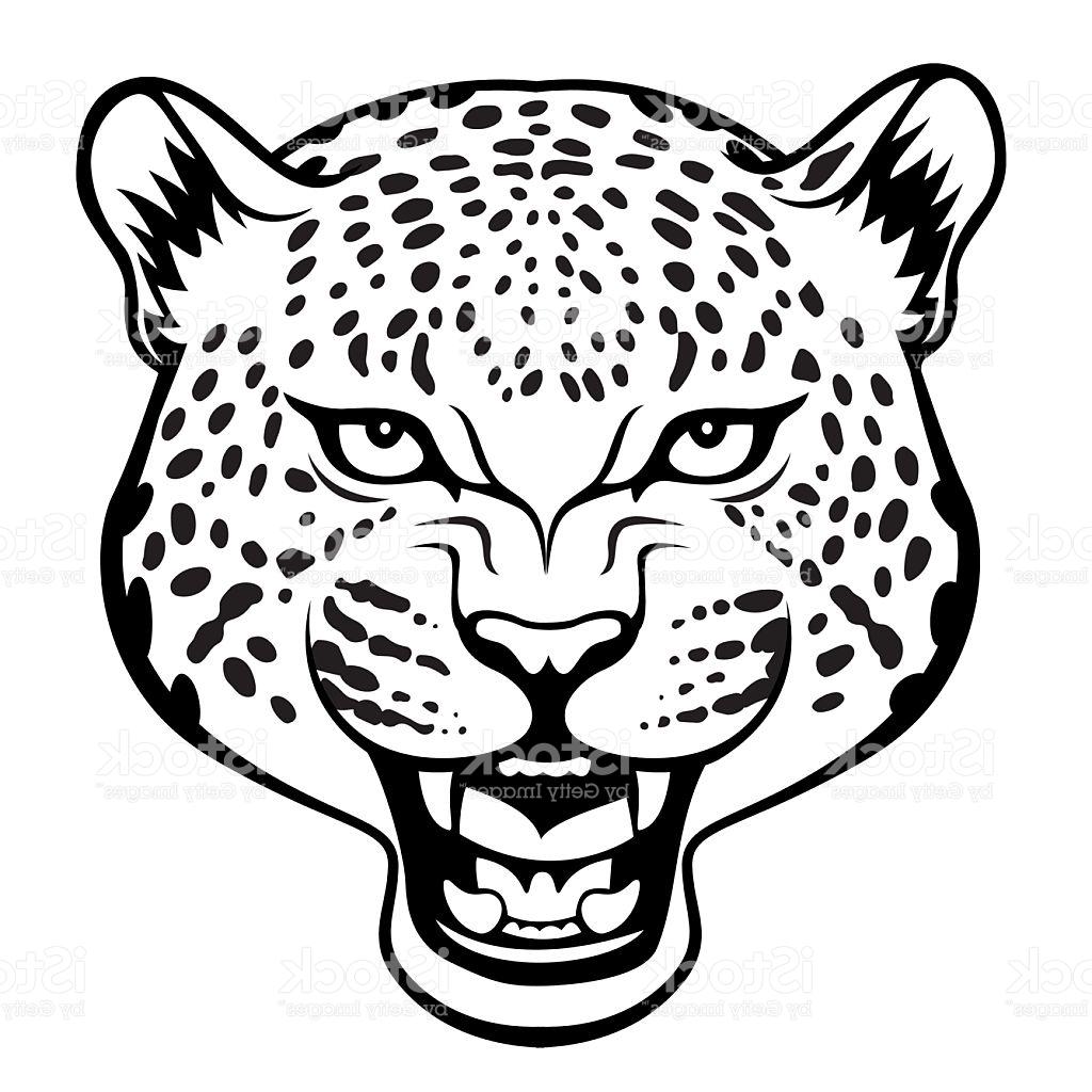 1024x1024 Best Hd Leopard Vector Drawing