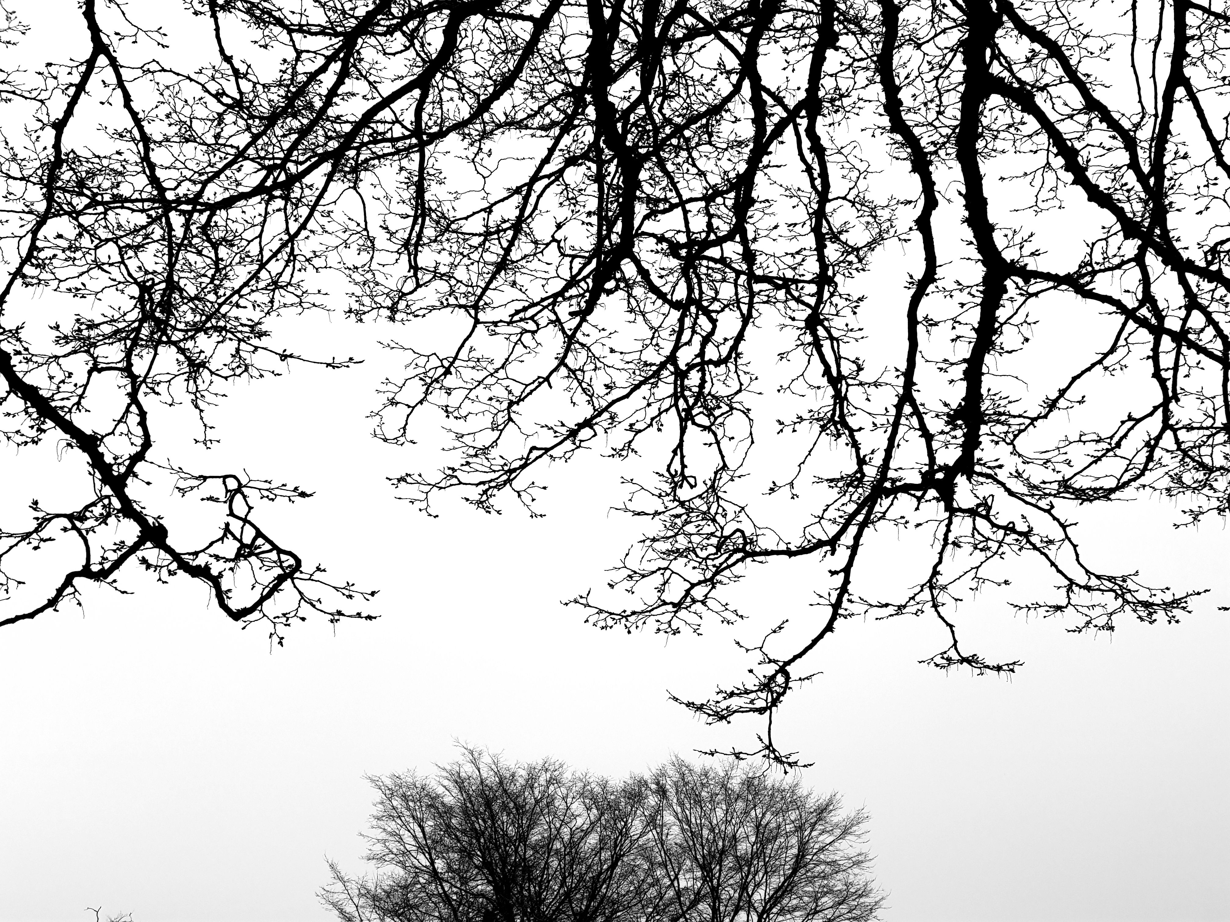 4032x3024 Cloudy Sky Steemit