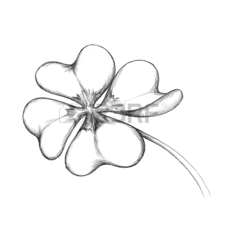 450x450 Illustration Of A Simple Cloverleaf With Four Leaves Stock Photo