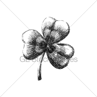 325x325 Clover Leaf. Hand Drawn Gl Stock Images