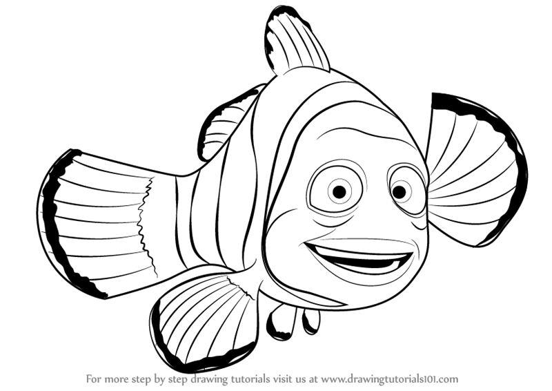 800x566 Step By Step How To Draw Marlin From Finding Nemo