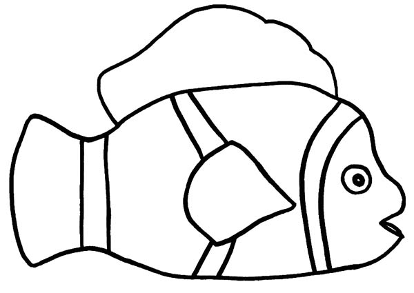 600x425 How To Draw Clown Fish Coloring Pages Best Place To Color