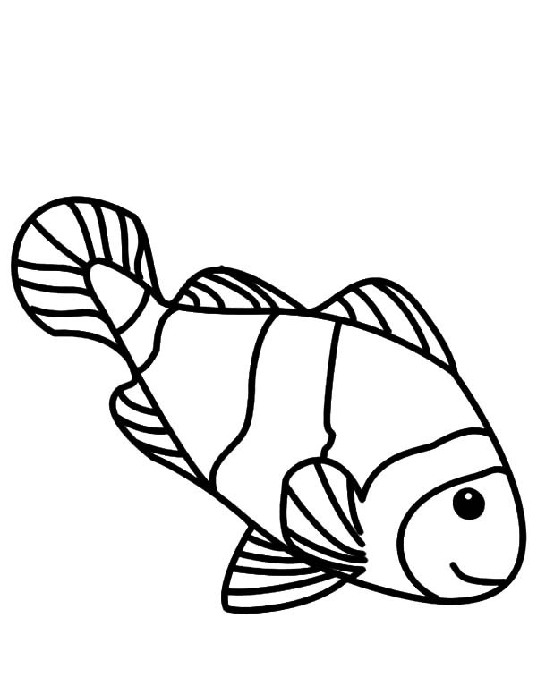 Clown Fish Drawing at GetDrawings | Free download