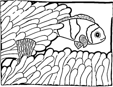 480x372 Clown Fish Coloring Page Free Printable Coloring Pages
